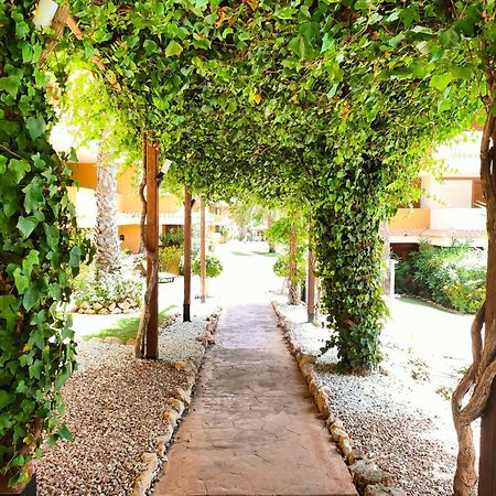 La Entrada Beach Club Torrevieja Eksteriør billede