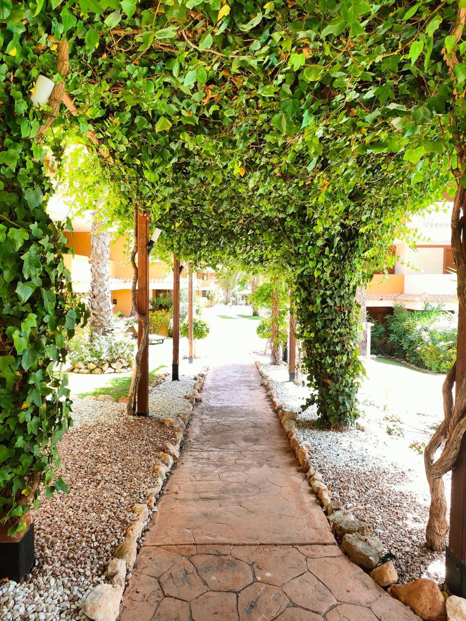 La Entrada Beach Club Torrevieja Eksteriør billede